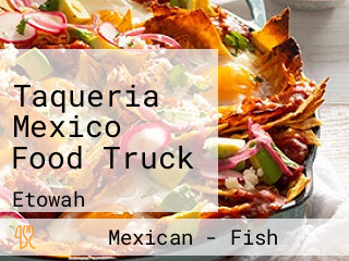 Taqueria Mexico Food Truck