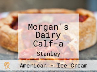 Morgan's Dairy Calf-a