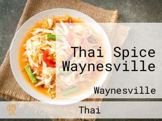 Thai Spice Waynesville