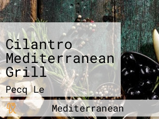 Cilantro Mediterranean Grill