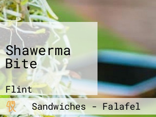 Shawerma Bite