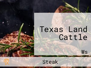 Texas Land Cattle