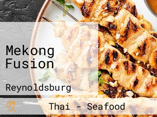 Mekong Fusion