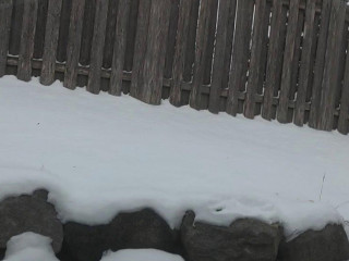 The Rail House
