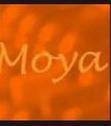 Moya